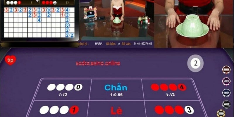 Cách Soi Cầu Xóc Đĩa – Phân Tích Dễ Hiểu Cho Người Chơi