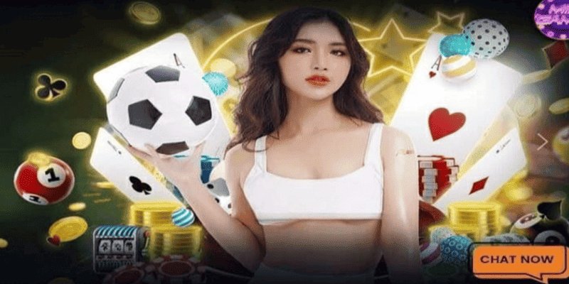 Một số lưu ý cần thiết trong quy trình đăng ký NK88