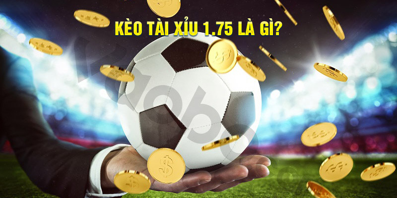 Tìm hiểu cơ bản về kèo tài xỉu 1.75