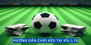 Kèo Tài Xỉu 1.75 - Hướng Dẫn Chi Tiết Và Chính Xác
