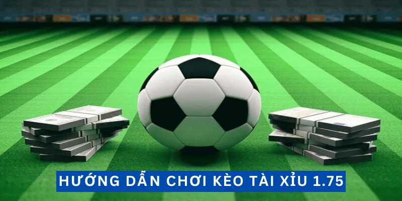 Kèo Tài Xỉu 1.75 - Hướng Dẫn Chi Tiết Và Chính Xác